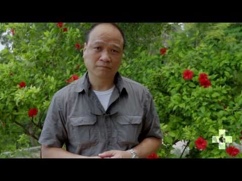 Dr. Robert: Heed the Call