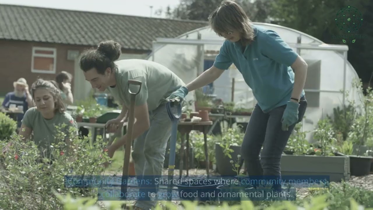 Adapting Permaculture Principles for Urban Environments