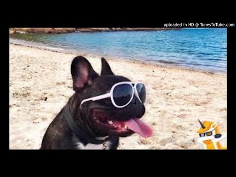 CHELUTU feat. Dorian Popa - Inoata Chelutu HITT