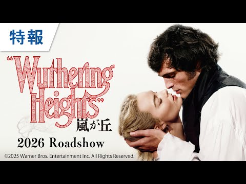 【愛が 私を 狂わせる】特報（字幕版）