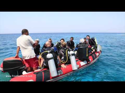 download lagu mp3 mp4 Fred Lombard Egypte, download lagu Fred Lombard Egypte gratis, unduh video klip Fred Lombard Egypte