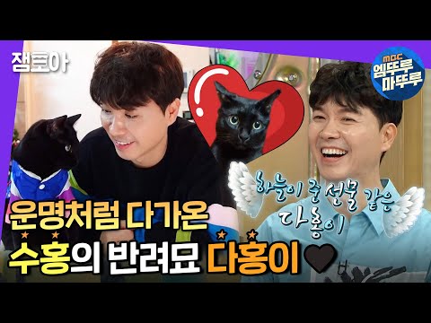 아이콘