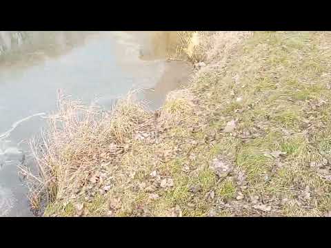 Alcatel 1S 2020 sun light camera test 1/3