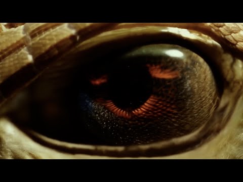 Kramer feat. Press1, 80bug, Tensei - Snake Eyes (teaser)