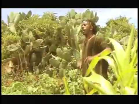 TEA TANENDRAZAGNE-TINONDIA