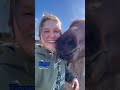 Horse Selfies Are The Best Selfies Horses Horseriding Cuteanimals Funnyanimals