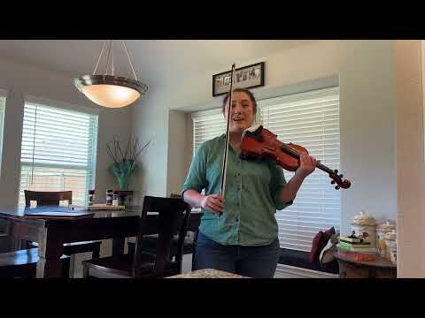 Scherl and Roth Strad Copy SR51E4 new strings- great set up | Reverb