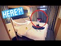 5 Surprises I Found In My Disney Cruise Cabin