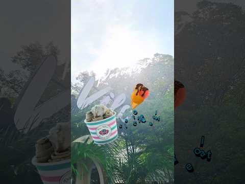 Vilo BCBD Bekasi #pentung #kuliner #visitkuliner #food #yukkulinerbareng #cake