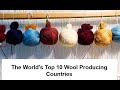 Top 10 Wool Producing Countries In The World 2023 Wool Production