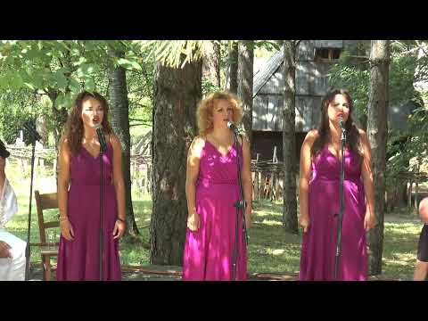 Bojana Nikolić i Srpski glasovi (Serbian voices) - Urodilo drvo javorovo