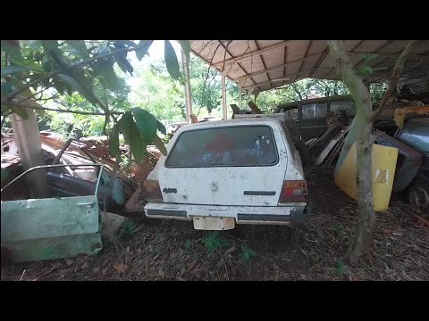 Sítio dodoi de Assaí Paraná lotado de carros antigos todos originais