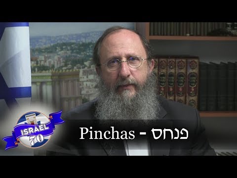 Weekly Torah Portion: Pinchas