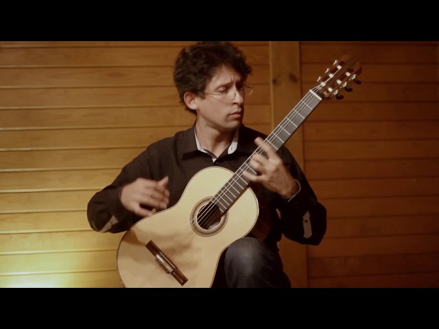 Vídeo relacionado con Elogio de la danza: guitar.