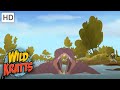 Wild Kratts Race For The Hippo Disc Full Episode Season 2
