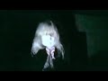 Laura Les U X Me Back When I Was Living Lyrics Unreleased