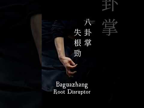 八卦掌　崩し　Baguazhang　Balance-Disrupting Techniques　中国武術　#chinesemartialarts