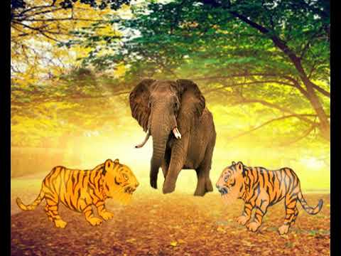 Two Fighters and Elephant Kids Video