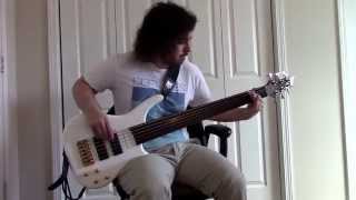 Disillusion - A Day by the Lake (fretless bass cover)