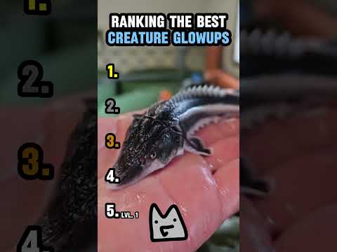 RANKING THE BEST CREATURE GLOWUPS