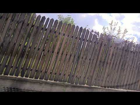 Bălănești Buzău România