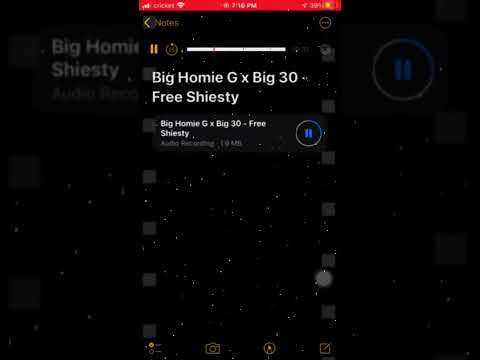 Big Homie G x Big 30 - Free Shiesty