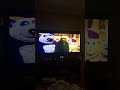 Kylie Shows The Donkey Hodie Show And A Penguin