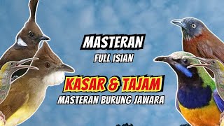 Download lagu Masteran Full Isian Tembakan Kasar dan Tajam | Masteran Burung Juara mp3