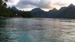 preview picture of video 'Tahiti Moorea - laguna din Golful Opunohu (2)'
