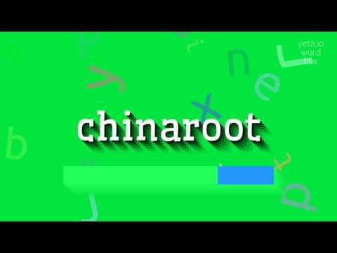 CHINAROOT - HOW TO PRONOUNCE CHINAROOT? #chinaroot
