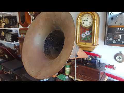 Edison Standard Sunnyside Sal