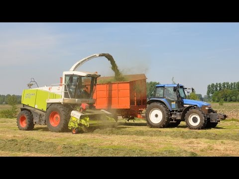 Claas Jaguar 900 - Loonw. Neyt-Van Laere - gras hakselen