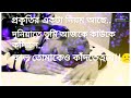 Hame Aur Jeene Ki Chahat Na Hoti Bengali Whatsapp Status Wbstatus