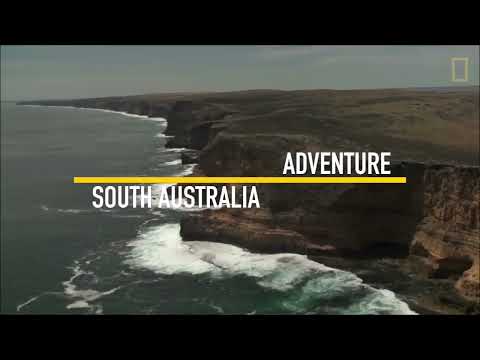 Unit 2   A Holiday in Australia - LIFE 2nd Edition (BrE) - Beginner