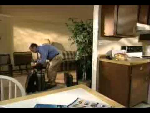 El Sorprendente Mundo de los Microorganismos