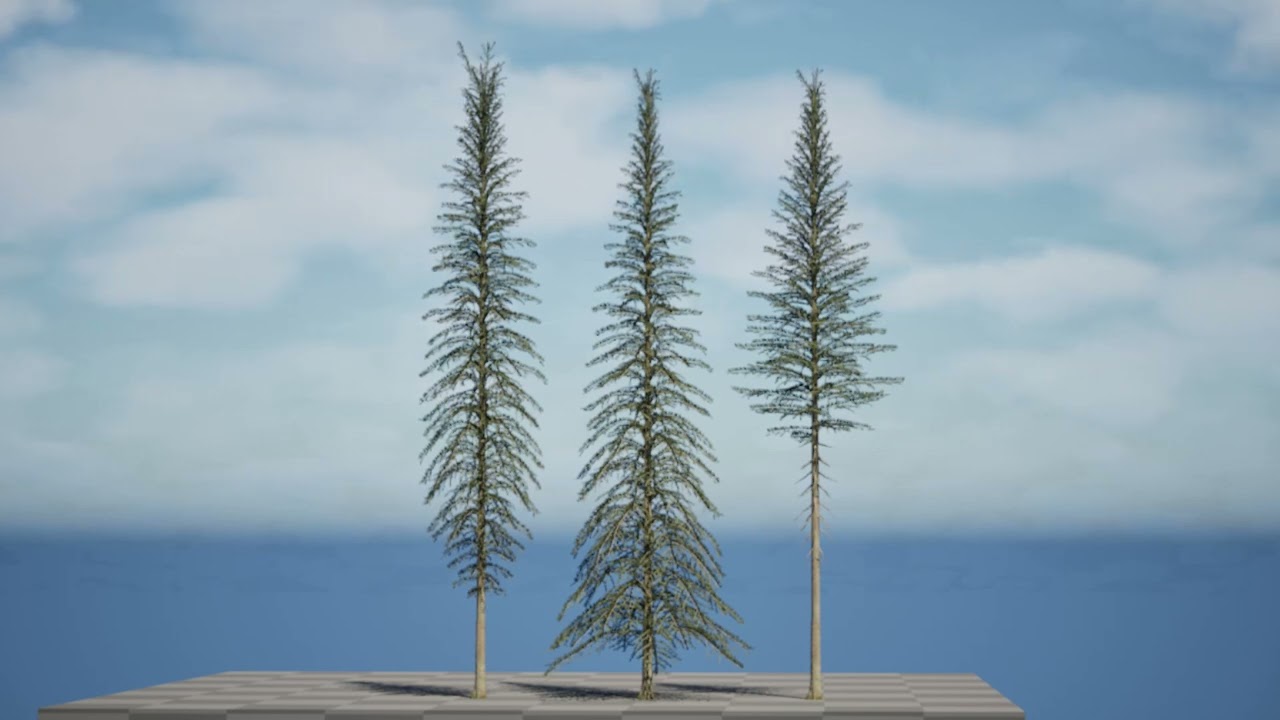 Spruce Tree Pack 3D Model