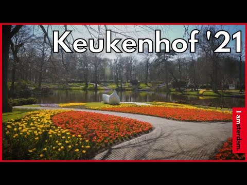 Keukenhof 2021 | I amsterdam