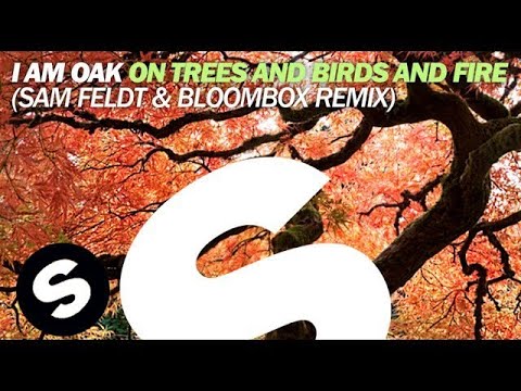 I Am Oak - On Trees and Birds and Fire (Sam Feldt & Bloombox Remix)