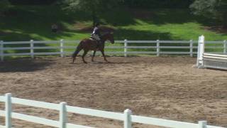 preview picture of video 'Heather rides Renaldo at the 2009 RMI Peachtree Series Horse Show At Wills Park'