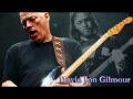 Best Of David Gilmour Guitar Solos Soulful Melodies