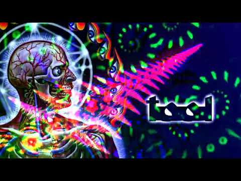 TOOL - Disposition, Reflection, Triad [REUPLOAD]