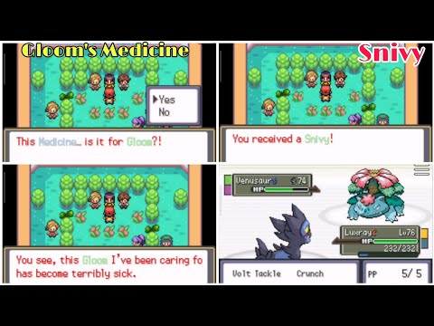 Pokemon Radical Red Gloom's Medicine | How to rematch with erika | Snivy As a Gift