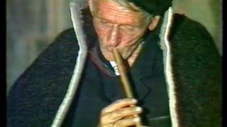 ΟΡΓΑΝΙΚΟ (ΜΕ ΤΖΑΜΑΡΑ) - ΕΡΤ 1982