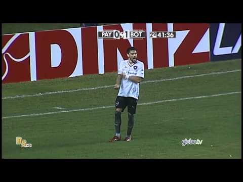 Gol Paysandu 0 x 1 Botafogo - Brasileirão 2015 Série B