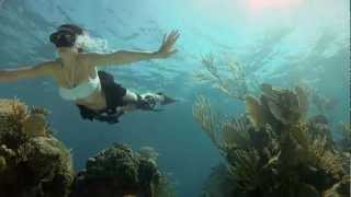 GoPro HD: Shark Riders - Introducing GoPros New Di