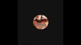 Disco Doggies –  Some Grace