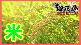 【アリスギア生放送】お米食えよ！【まだイベ終わってねぇわ・・・】