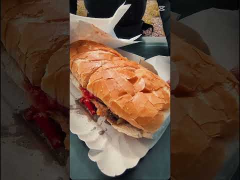 Mendoza - Malargüe #himalayan450 #motovlogger #viajeenmoto