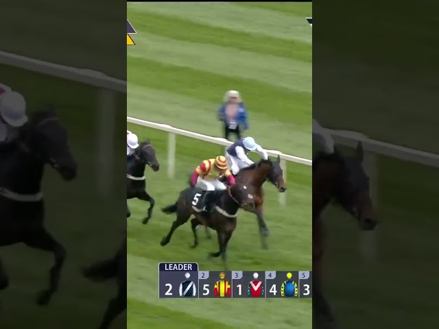 Thumbnail for Post ID: ucj9fUHcPI0