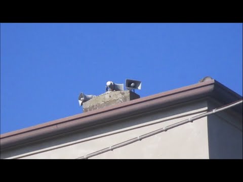 Campane della chiesa parrocchiale di San Girolamo in Pissatola di Trecenta (RO)